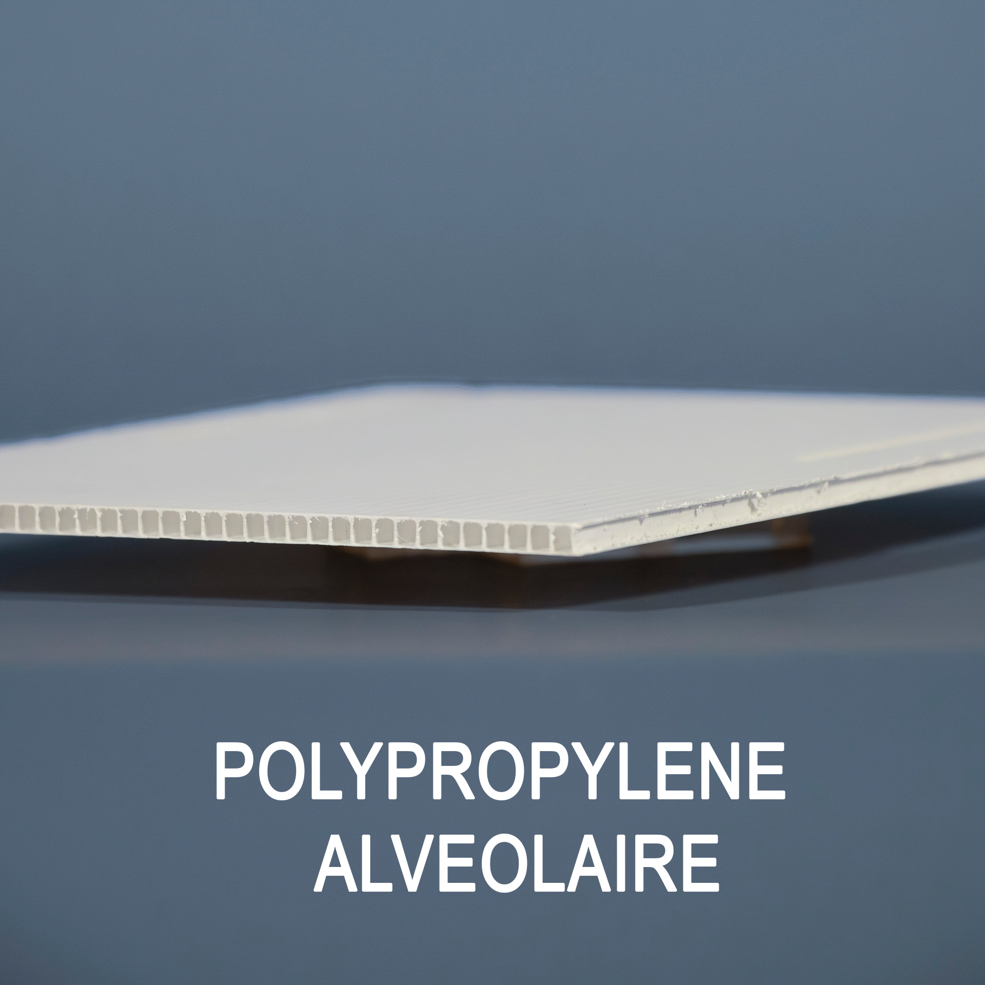 Polypropylene alveolaire 3mm